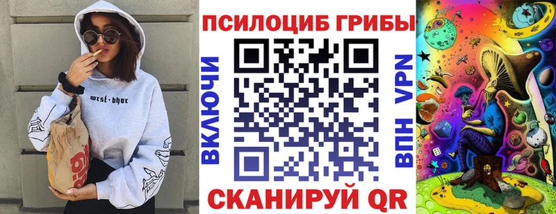 Купить где Урай Псилоцибиновые грибы GOLDEN TEACHER
